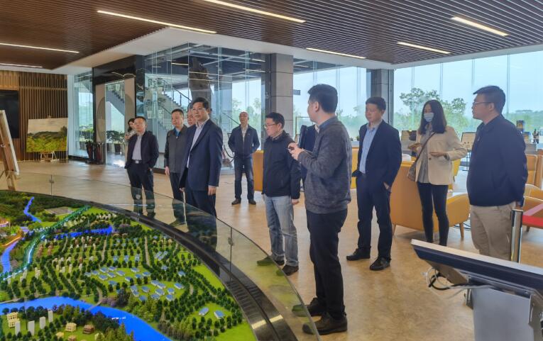广西旅发集团党委书记、董事长容贤标考察集团文旅项目